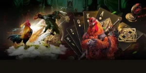 Khám Phá Cách Chơi Đá Gà GA28 Tại Rubik88 Siêu Hấp Dẫn